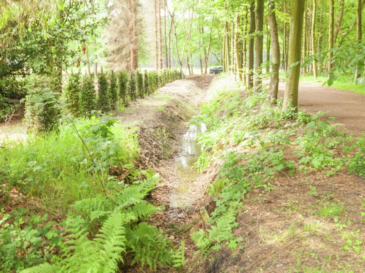 Cozy Holiday Home Near Forest In Baarn Kültér fotó